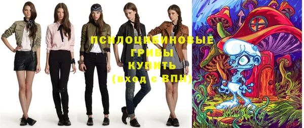 дурь Михайловка