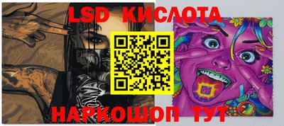 гидра Кандалакша