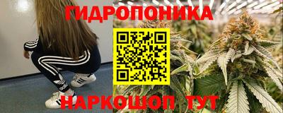 ПСИЛОЦИБИНОВЫЕ ГРИБЫ Камышлов