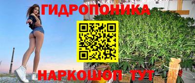 гидра Кандалакша