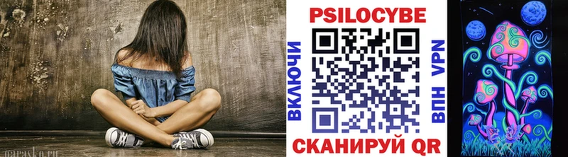 Псилоцибиновые грибы Psilocybe  Ханты-Мансийск 
