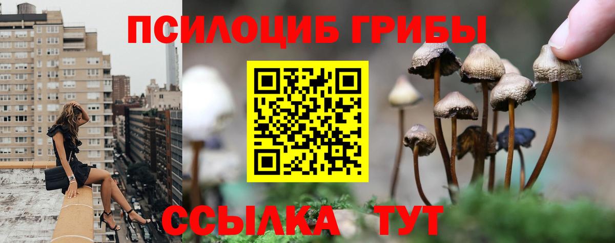 Псилоцибиновые грибы Magic Shrooms  Псилоцибиновые грибы MAGIC MUSHROOMS  Ханты-Мансийск  Вход с VPN 